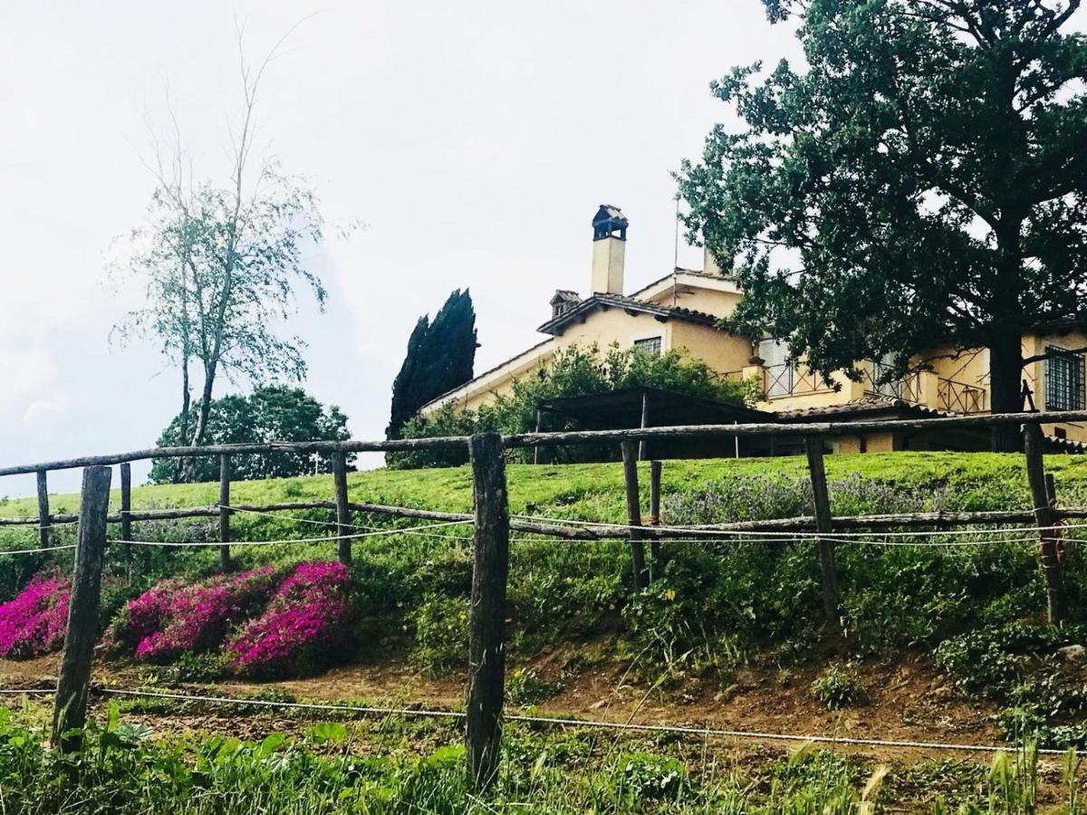 Borgo Del Gelso Bed & Breakfast Olgiata Ngoại thất bức ảnh